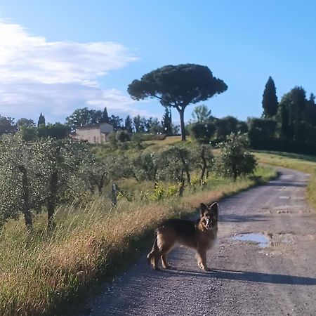 Casale La Giara Διαμέρισμα Sorrezzana Εξωτερικό φωτογραφία