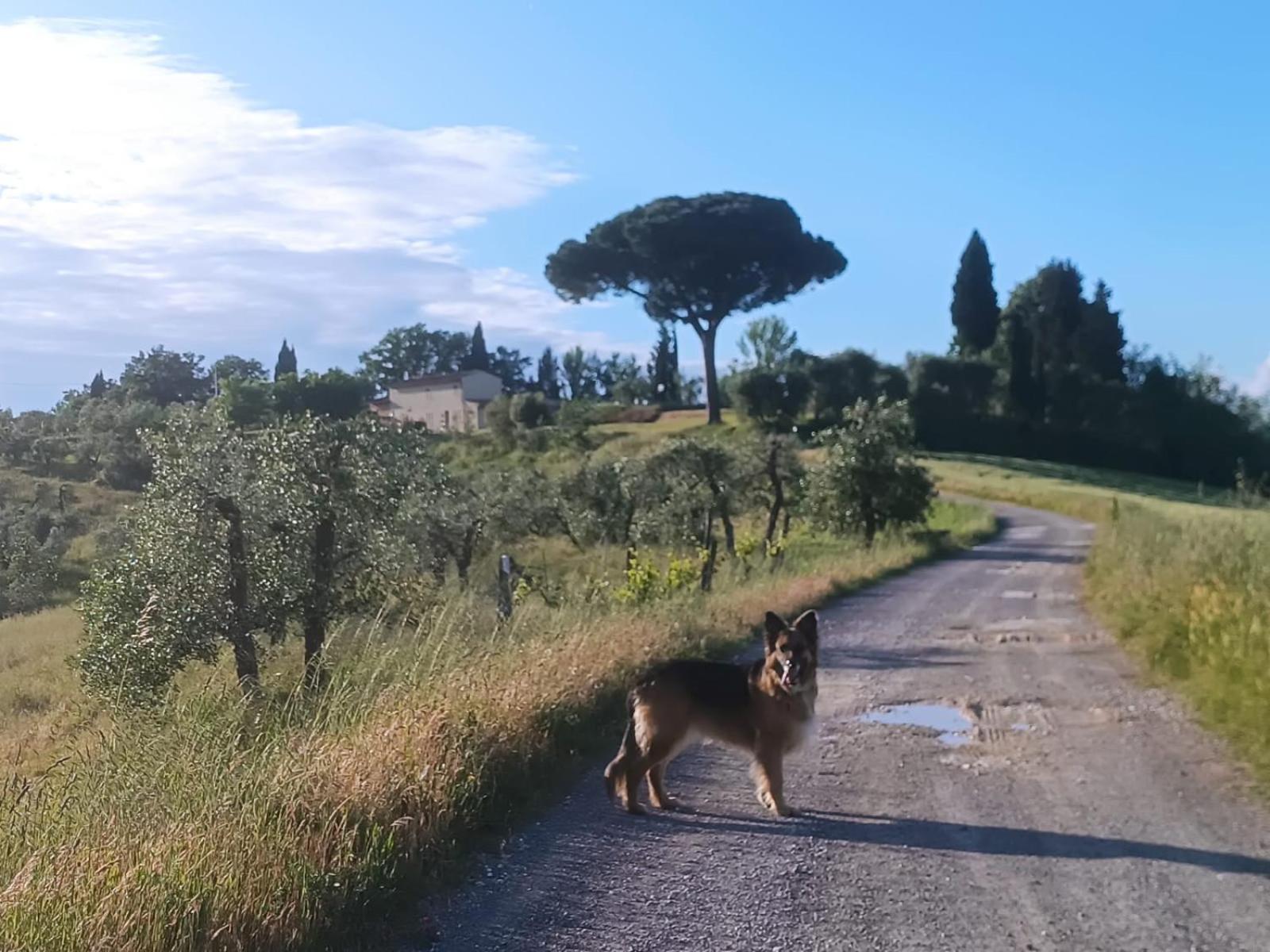 Casale La Giara Διαμέρισμα Sorrezzana Εξωτερικό φωτογραφία
